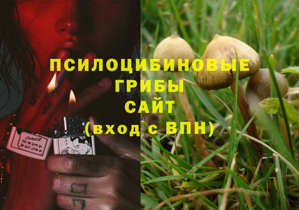 спиды Бронницы