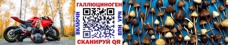 Псилоцибиновые грибы MAGIC MUSHROOMS  Тула 